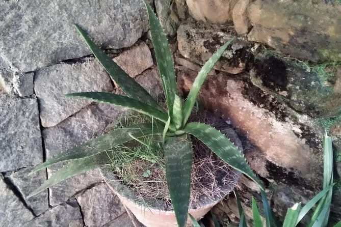 Yoga and Massage Nirvana. - What Makes This Experience Special?