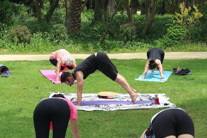 yoga-at-maria-luisa-park-in-seville