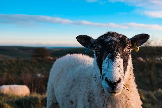 yoga-forest-bathing-day-retreat