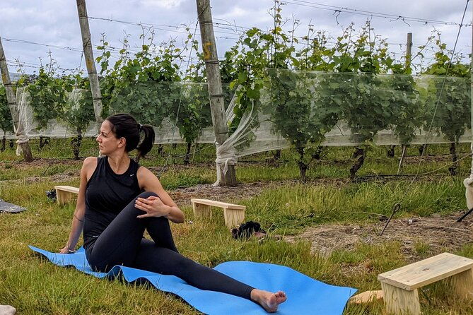 yoga-in-vineyards-and-brunch