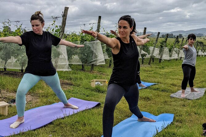 yoga-in-vineyards-and-brunch