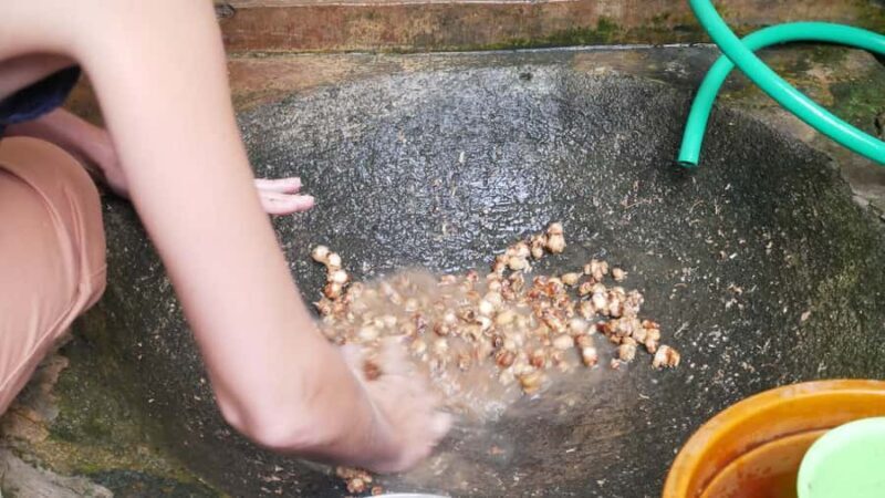 Yogakarta: Jamu Workshop with a Royal Healers Descendant - The Sum Up