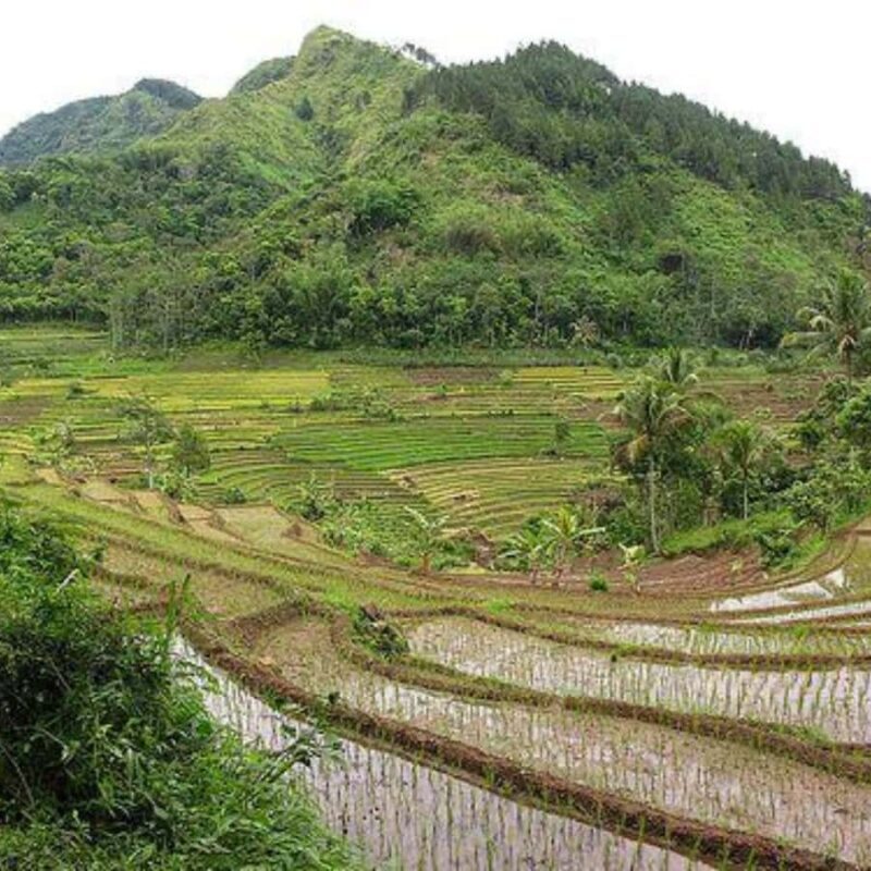 Yogyakarta: 3 Days Exclusive Highlights Tour - Key Points