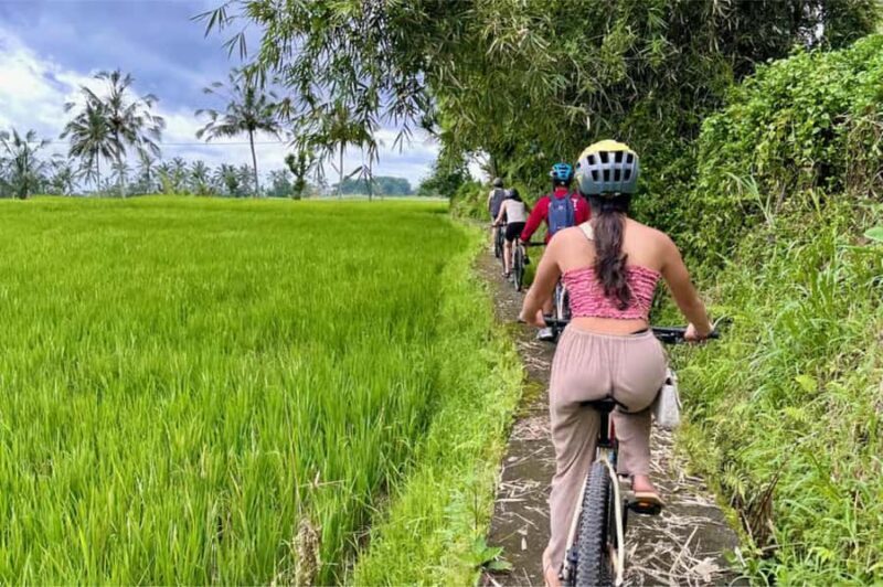 Yogyakarta: 3-Hour Bike Tour Through Villages with Transfers - Experience Breakdown: What to Expect on This Yogyakarta Village Bike Tour