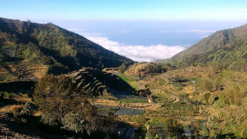 Yogyakarta: 5-Day Dieng Plateau Tour with Jeep Ride - Why This Tour Offers Great Value