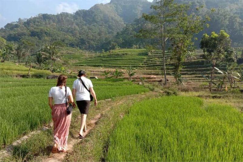 Yogyakarta: Borobudur Climb-up & Selogriyo Paddy Field Tour - Exploring Borobudur: A Majestic Cultural Landmark