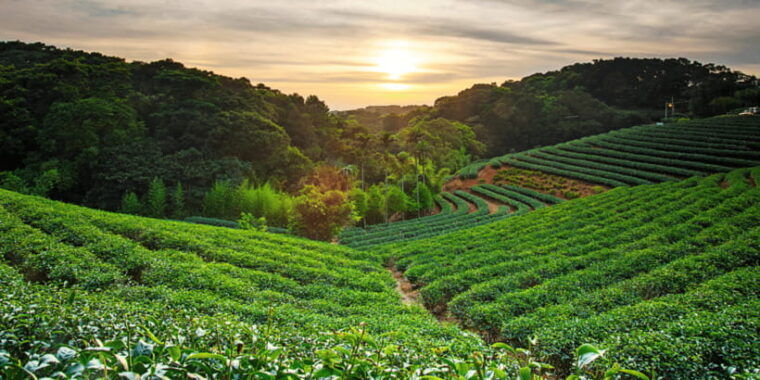 yogyakarta-borobudur-prambanan-java-nature-exploration