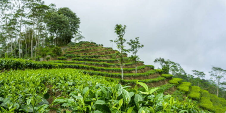 yogyakarta-borobudur-prambanan-java-nature-exploration