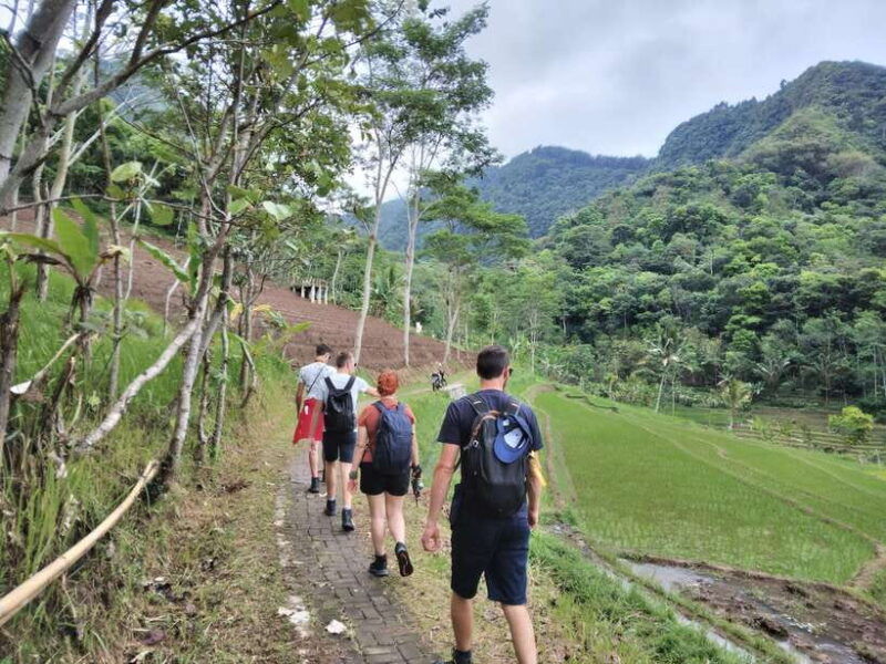 yogyakarta-borobudur-temple-and-selogriyo-rice-terrace-tour