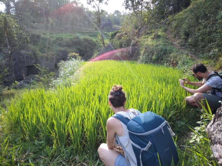yogyakarta-borobudur-temple-and-selogriyo-rice-terrace-tour