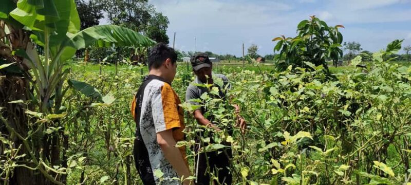 Yogyakarta: Cooking Class with Market Visit and Hotel Pickup - Final Thoughts