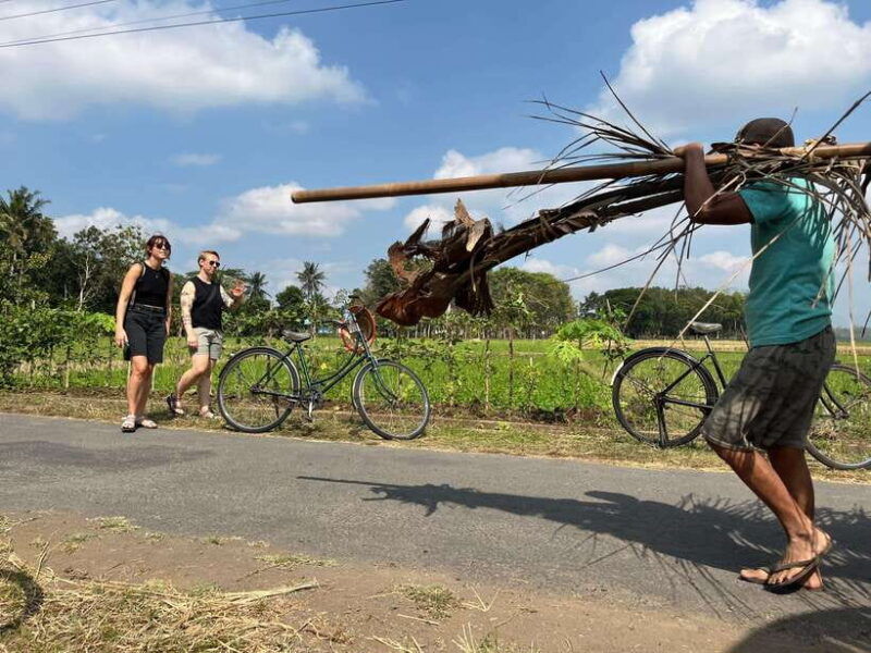 yogyakarta-countryside-village-cycling-tour-with-guide