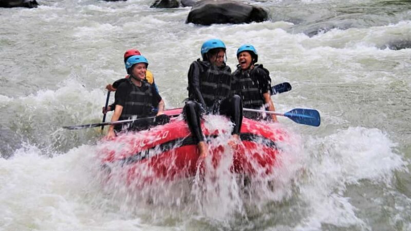 Yogyakarta: Elo White Water Rafting with 12KM Distance - Introduction to Elo White Water Rafting