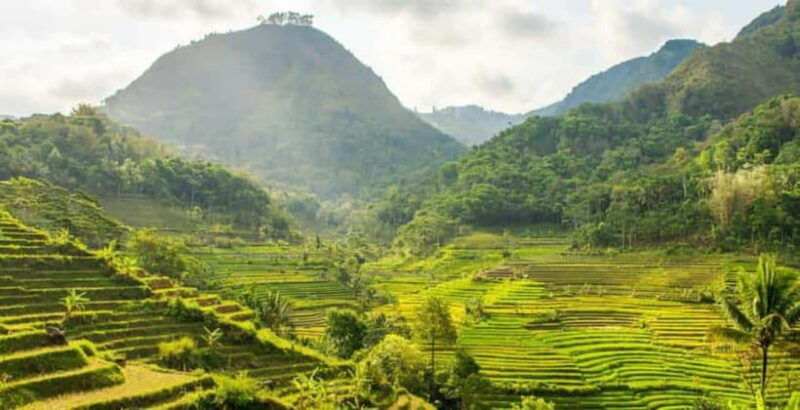 yogyakarta-explore-selogriyo-rice-fields-and-mendut-temple