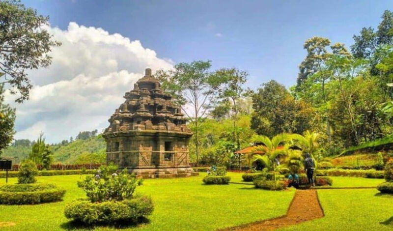 yogyakarta-explore-selogriyo-rice-fields-and-mendut-temple
