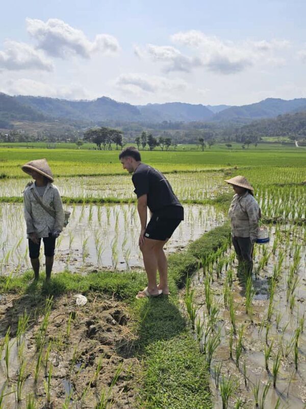 Yogyakarta: Flying Fox, Pule Payung & Ricefield Scenic Tour - FAQ
