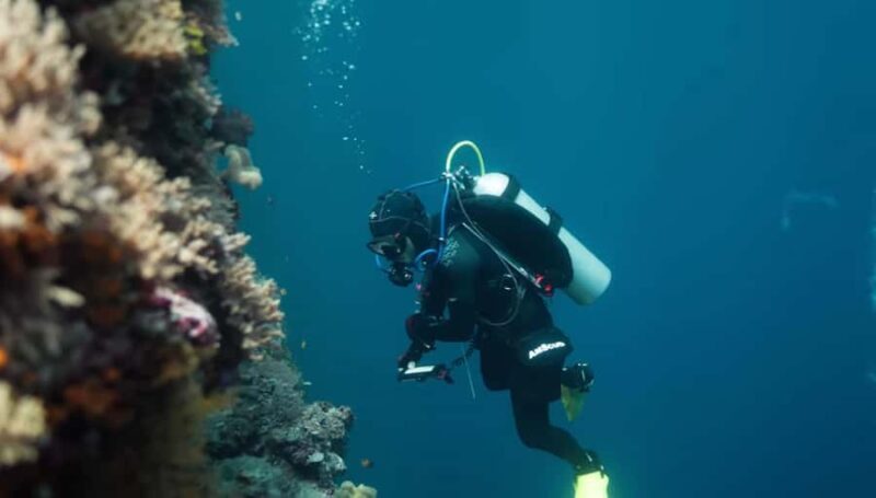 Yogyakarta: Goa Pindul, Nglambor Beach, & Sand Dunes Tour - Key Points