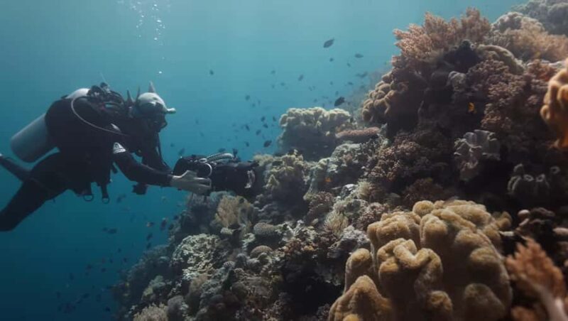 Yogyakarta: Goa Pindul, Nglambor Beach, & Sand Dunes Tour - An In-Depth Look at the Tour Experience