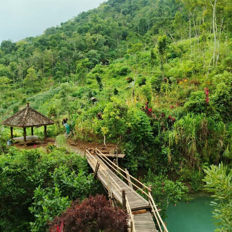 Yogyakarta: Hidden Paradise of Yogyakarta Waterfall & Swim - The Real Experience: A Balanced View