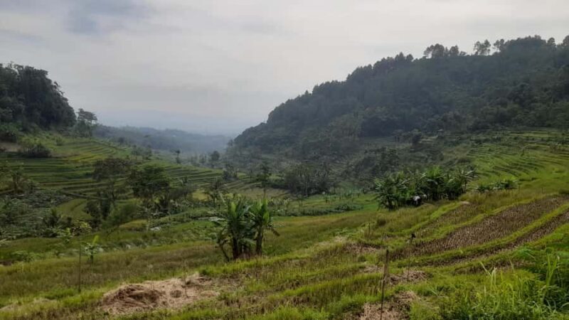 Yogyakarta: Merapi Sunrise Jeep and Trek with Lunch - Authentic Experience With a Focus on Value
