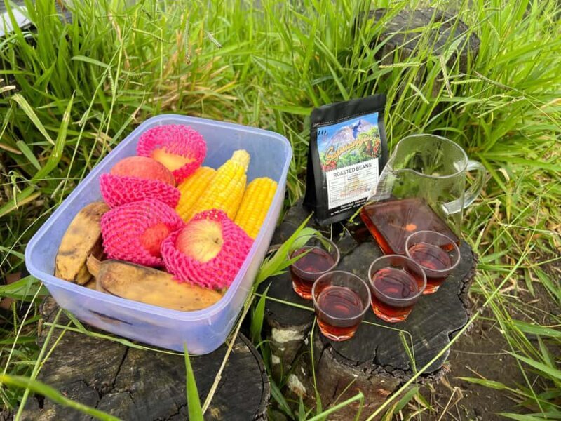 Yogyakarta: Merapi Volcano Trek with Transfer - Who Is This Tour Best For?