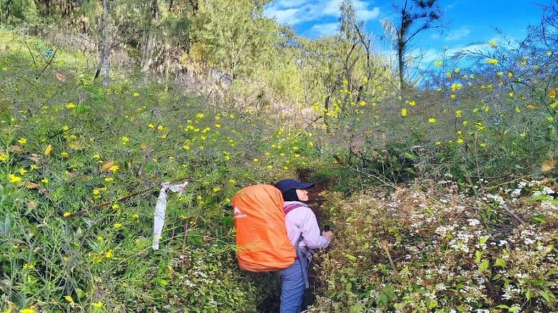 Yogyakarta: Mount Lawu 3-Day Trekking and Camping Tour - Key Points