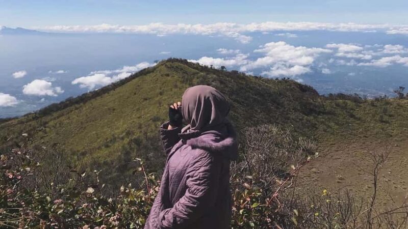 Yogyakarta: Mount Lawu 3-Day Trekking and Camping Tour - An In-Depth Look at the Mount Lawu Trekking Tour