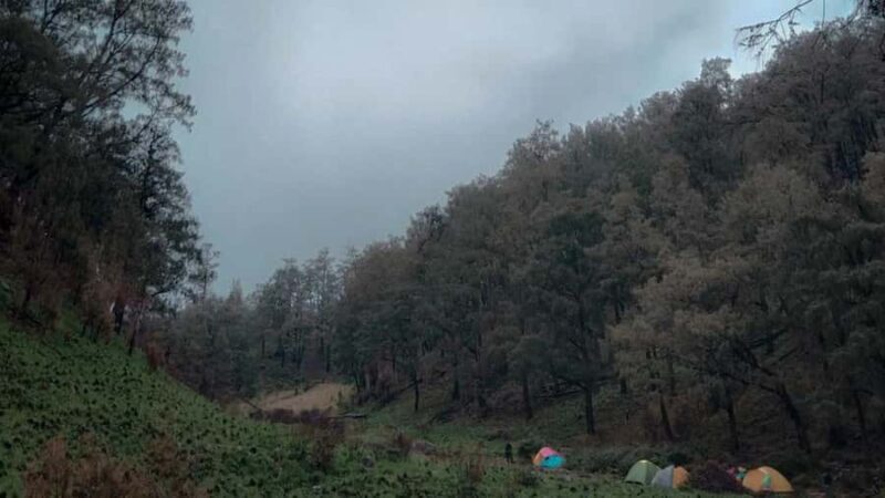 Yogyakarta: Mount Lawu 3-Day Trekking and Camping Tour - Final Thoughts