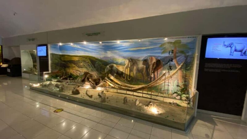 Yogyakarta: Mount Merapi Jeep Sunrise & Ancient Museum Tour - FAQs