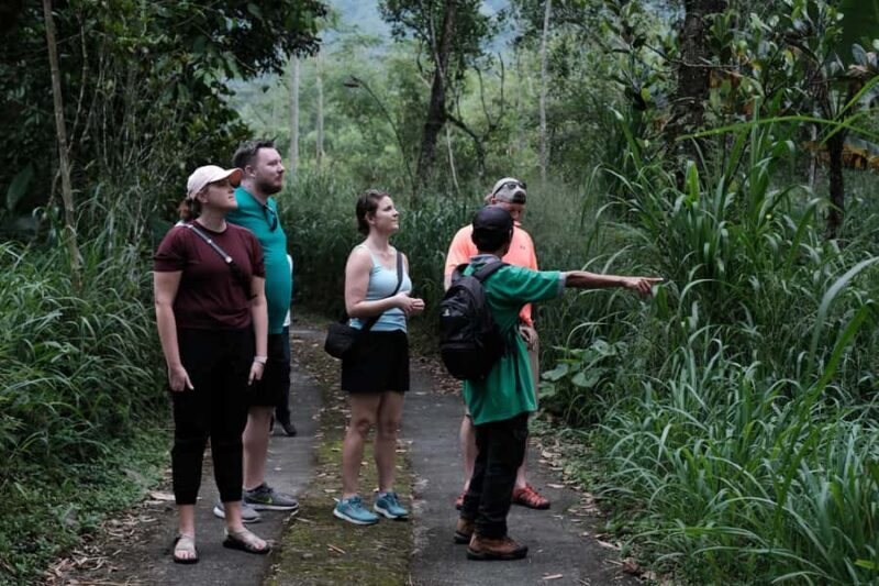 Yogyakarta : Mount Merapi Soft Trek and Botanic Village Tour - What to Expect and Practical Tips