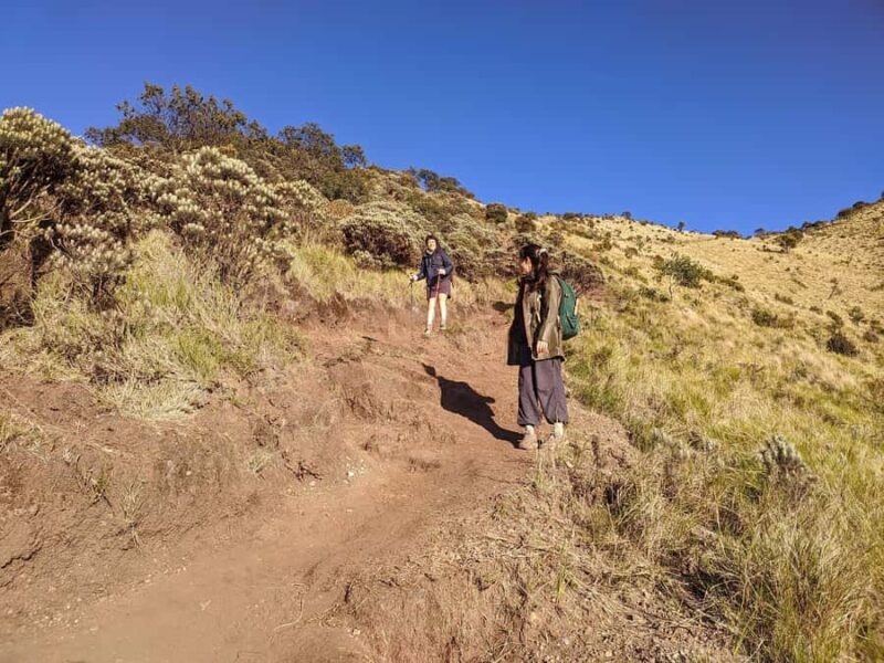 Yogyakarta: Mount Merbabu Shared Guided Tour All Inclusive - A Deep Dive into the Mount Merbabu Guided Tour Experience