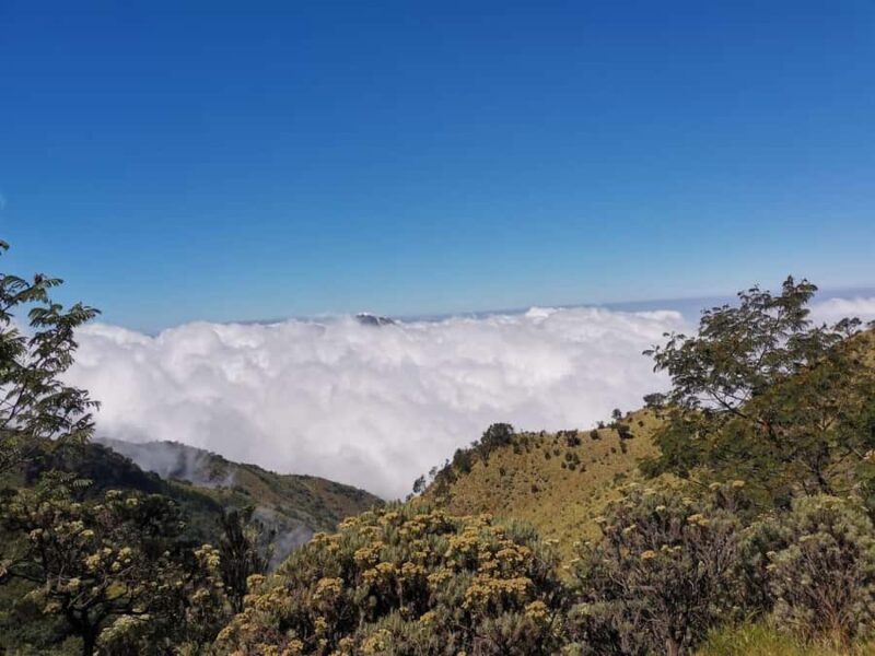 Yogyakarta: Mt Merbabu Guided Hike with Breakfast & Lunch - Key Points