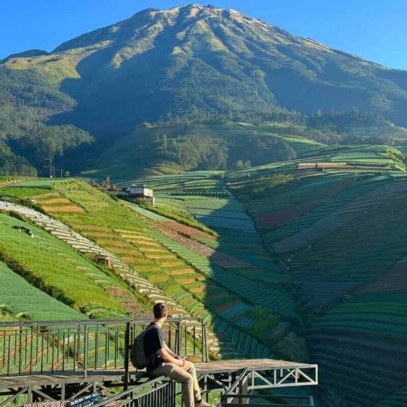 Yogyakarta: Nepal Van Java & Vegetable Village Tour - Key Points