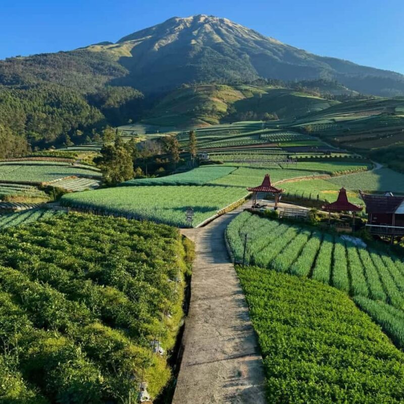 Yogyakarta: Nepal Van Java & Vegetable Village Tour - The Journey Begins: From Yogyakarta to Mount Sumbing