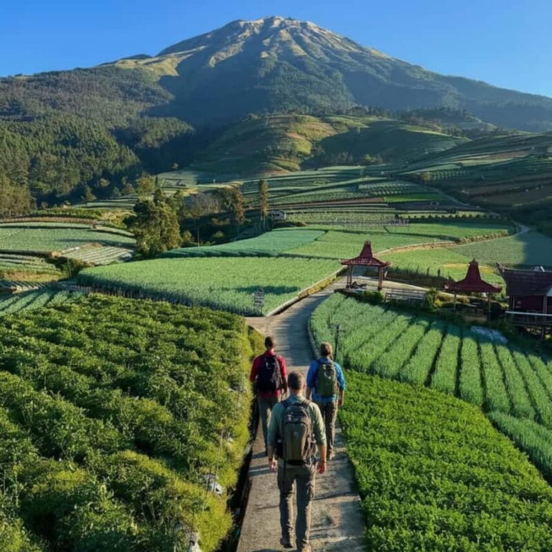 Yogyakarta: Nepal Van Java & Vegetable Village Tour - Walking Tour & Local Encounters