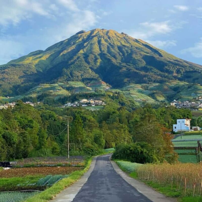 Yogyakarta: Nepal Van Java & Vegetable Village Tour - Why This Tour Offers Real Value