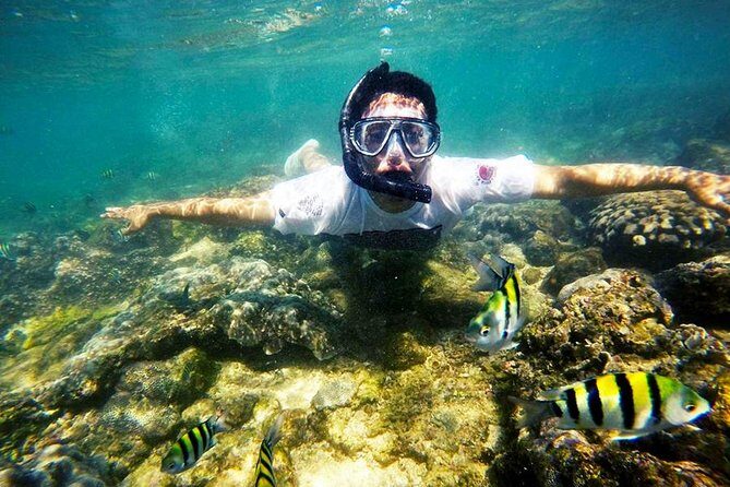 Yogyakarta Nglambor Beach Snorkeling Tour with Private Transport - Pricing and Overall Value