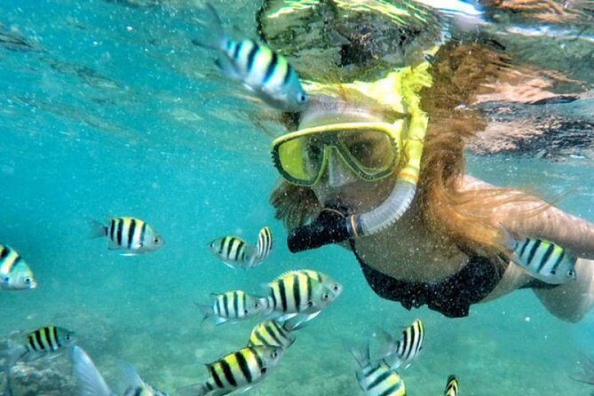 Yogyakarta Nglambor Beach Snorkeling Tour with Private Transport - Wrap-Up: Is It Worth It?