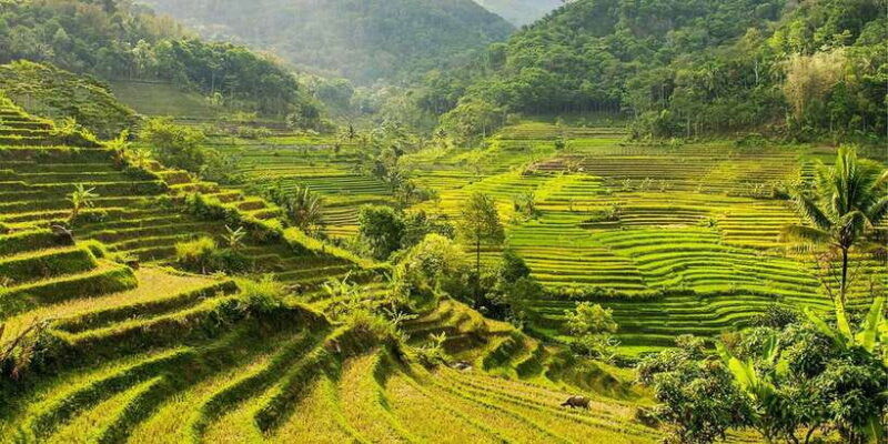yogyakarta-private-customizable-guided-tour