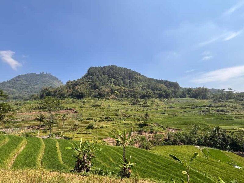 Yogyakarta: Rice Terrace Trek All Inclusive Guided Tour - Exploring Java’s Natural and Cultural Wonders