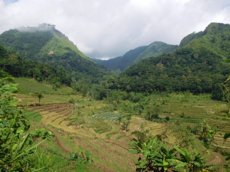 yogyakarta-selogriyo-marvel-amidst-javas-lush-terraces