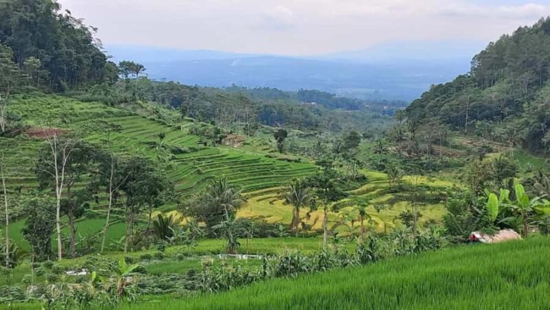 Yogyakarta : Selogriyo Temple And Kedung Kayang Waterfall - Who Is This Tour Best For?