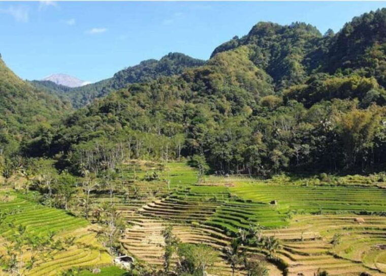 yogyakarta-selogriyo-temple-java-terraces-rice
