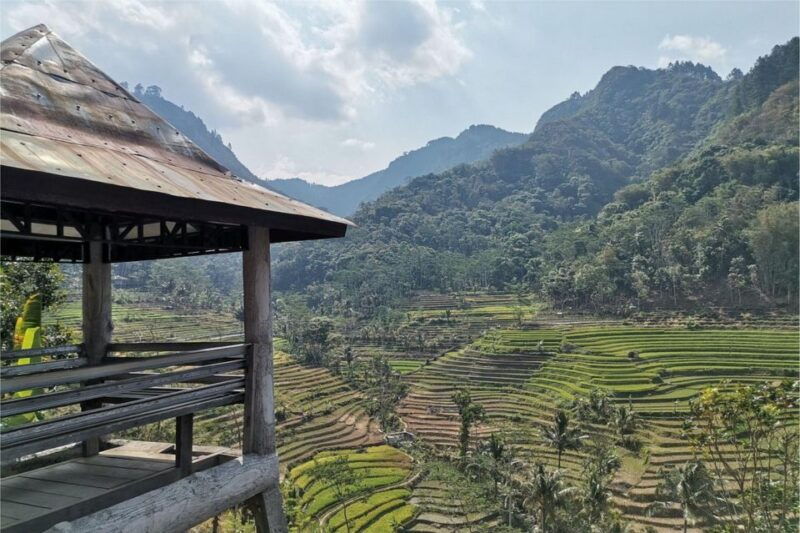 yogyakarta-selogriyo-temple-rice-terraces-waterfall-tour