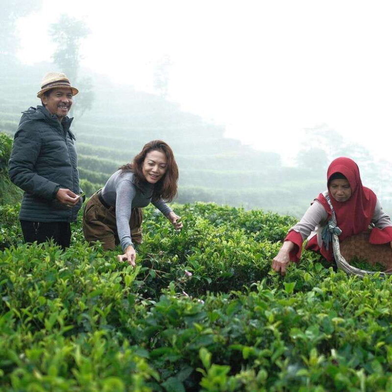 yogyakarta-tea-class-borobudur-climb-up-guided-shared-tour