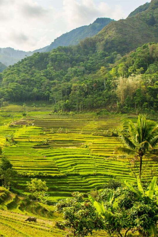 yogyakarta-to-pangandaran-green-canyon-batu-karas-beach