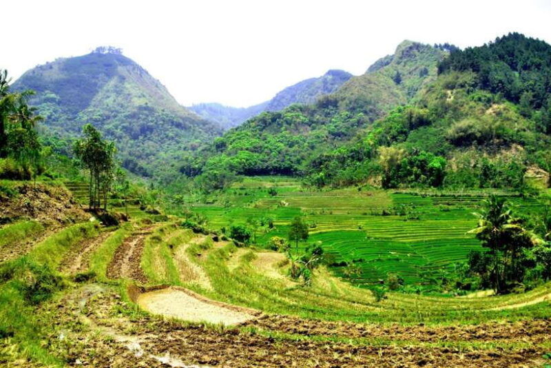 yogyakarta-to-pangandaran-green-canyon-batu-karas-beach