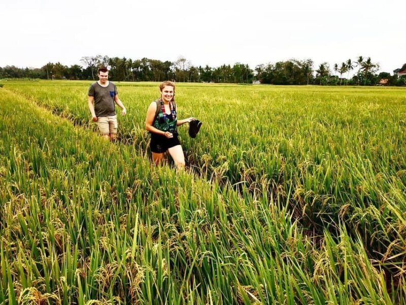 yogyakarta-traditional-village-bicycle-tour-with-transfer