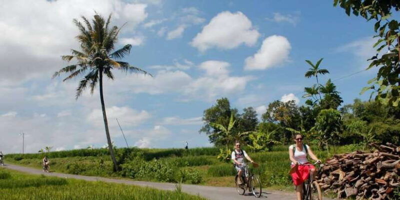 yogyakarta-traditional-village-bicycle-tour-with-transfer