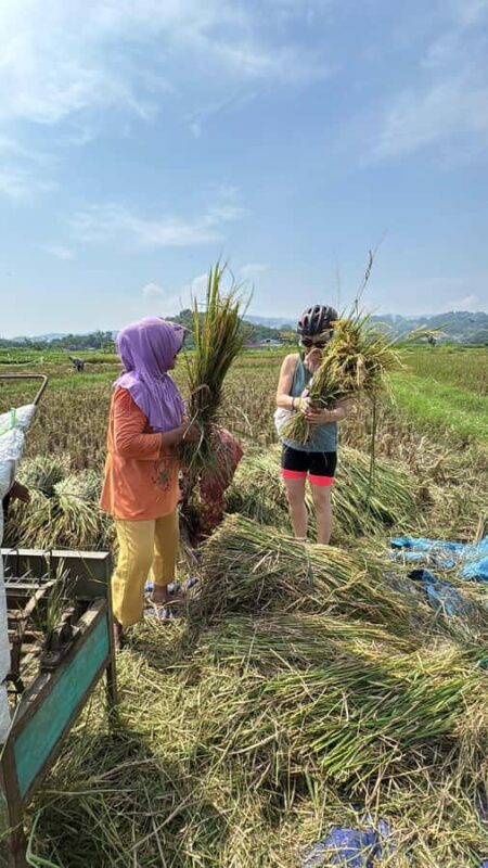 Yogyakarta: Village Cycling Tour with Local Snacks - A Deeper Look at the Experience